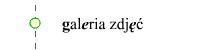 kompozycje kwiatowe ³ód¼